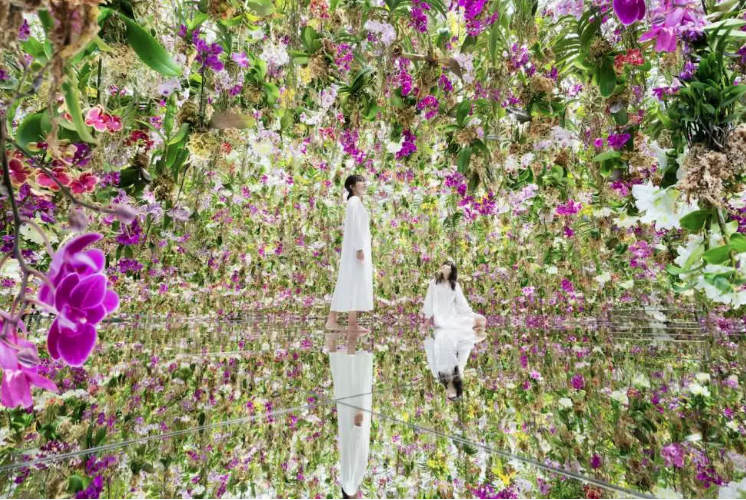 Tâm sự nhẹ nhàng về trải nghiệm check-in teamLab Planets TOKYO – Mê mẩn từ bước chân đầu tiên
